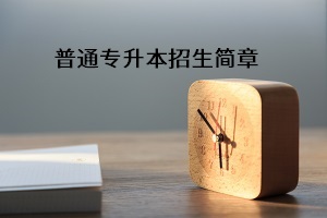 普通专升本招生简章
